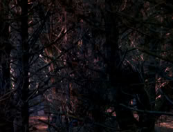 extant_XenaWarriorPrincess_6x01-ComingHome_00023