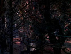 extant_XenaWarriorPrincess_6x01-ComingHome_00024