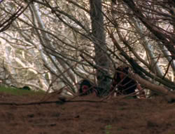 extant_XenaWarriorPrincess_6x01-ComingHome_00035