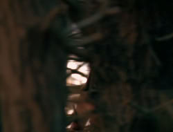 extant_XenaWarriorPrincess_6x01-ComingHome_00041