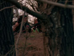 extant_XenaWarriorPrincess_6x01-ComingHome_00043