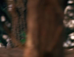 extant_XenaWarriorPrincess_6x01-ComingHome_00050