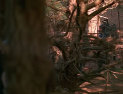 extant_XenaWarriorPrincess_6x01-ComingHome_00059