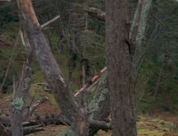 extant_XenaWarriorPrincess_6x01-ComingHome_00108