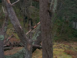 extant_XenaWarriorPrincess_6x01-ComingHome_00109