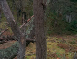 extant_XenaWarriorPrincess_6x01-ComingHome_00110