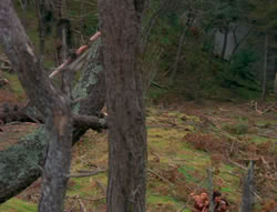extant_XenaWarriorPrincess_6x01-ComingHome_00111