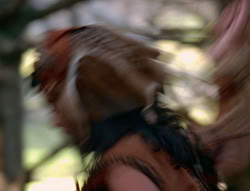 extant_XenaWarriorPrincess_6x01-ComingHome_00226