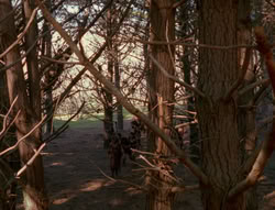 extant_XenaWarriorPrincess_6x01-ComingHome_00567