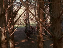 extant_XenaWarriorPrincess_6x01-ComingHome_00568