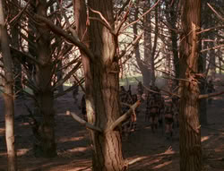 extant_XenaWarriorPrincess_6x01-ComingHome_00573