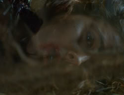 extant_XenaWarriorPrincess_6x01-ComingHome_01104