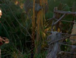 extant_XenaWarriorPrincess_6x01-ComingHome_02481
