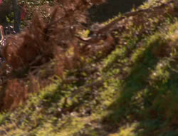 extant_XenaWarriorPrincess_6x01-ComingHome_02584