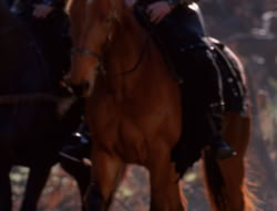extant_XenaWarriorPrincess_6x01-ComingHome_02590