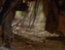 extant_XenaWarriorPrincess_6x01-ComingHome_02603