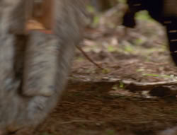 extant_XenaWarriorPrincess_6x01-ComingHome_02605