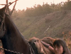 extant_XenaWarriorPrincess_6x01-ComingHome_02708
