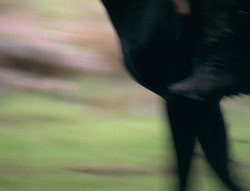 extant_XenaWarriorPrincess_6x01-ComingHome_02865