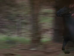 extant_XenaWarriorPrincess_6x01-ComingHome_02866