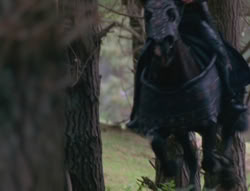 extant_XenaWarriorPrincess_6x01-ComingHome_02870