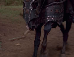extant_XenaWarriorPrincess_6x01-ComingHome_02872
