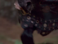 extant_XenaWarriorPrincess_6x01-ComingHome_02873