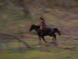 extant_XenaWarriorPrincess_6x01-ComingHome_02876