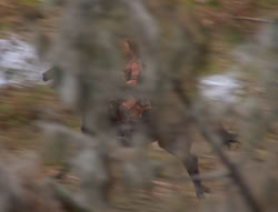 extant_XenaWarriorPrincess_6x01-ComingHome_02891