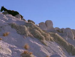 extant_XenaWarriorPrincess_6x01-ComingHome_02956