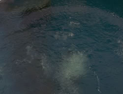 extant_XenaWarriorPrincess_6x01-ComingHome_03177