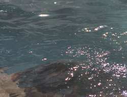 extant_XenaWarriorPrincess_6x01-ComingHome_03345