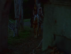 extant_XenaWarriorPrincess_6x02-TheHauntingOfAmphipolis_00065