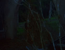 extant_XenaWarriorPrincess_6x02-TheHauntingOfAmphipolis_00074