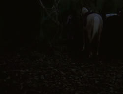 extant_XenaWarriorPrincess_6x02-TheHauntingOfAmphipolis_00098
