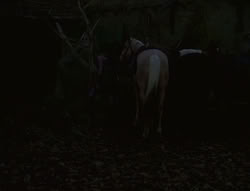 extant_XenaWarriorPrincess_6x02-TheHauntingOfAmphipolis_00100