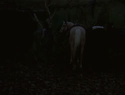 extant_XenaWarriorPrincess_6x02-TheHauntingOfAmphipolis_00101