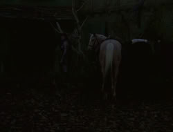 extant_XenaWarriorPrincess_6x02-TheHauntingOfAmphipolis_00102