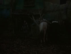 extant_XenaWarriorPrincess_6x02-TheHauntingOfAmphipolis_00106