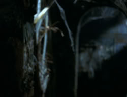 extant_XenaWarriorPrincess_6x02-TheHauntingOfAmphipolis_00208