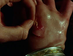 extant_XenaWarriorPrincess_6x02-TheHauntingOfAmphipolis_00808