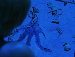 extant_XenaWarriorPrincess_6x02-TheHauntingOfAmphipolis_01035