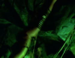 extant_XenaWarriorPrincess_6x02-TheHauntingOfAmphipolis_01229