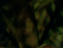extant_XenaWarriorPrincess_6x02-TheHauntingOfAmphipolis_01661