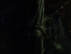 extant_XenaWarriorPrincess_6x02-TheHauntingOfAmphipolis_02128