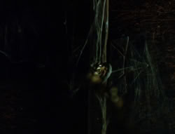 extant_XenaWarriorPrincess_6x02-TheHauntingOfAmphipolis_02131