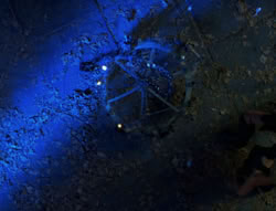 extant_XenaWarriorPrincess_6x02-TheHauntingOfAmphipolis_02132