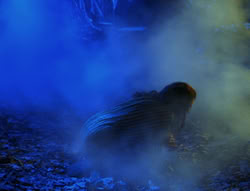extant_XenaWarriorPrincess_6x02-TheHauntingOfAmphipolis_02223