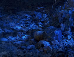 extant_XenaWarriorPrincess_6x02-TheHauntingOfAmphipolis_03207