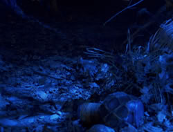 extant_XenaWarriorPrincess_6x02-TheHauntingOfAmphipolis_03208